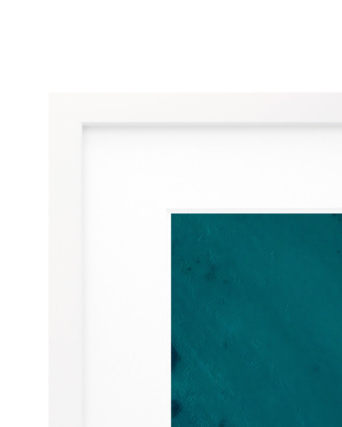 Morning Crew - Coastal Prints twotides.collective