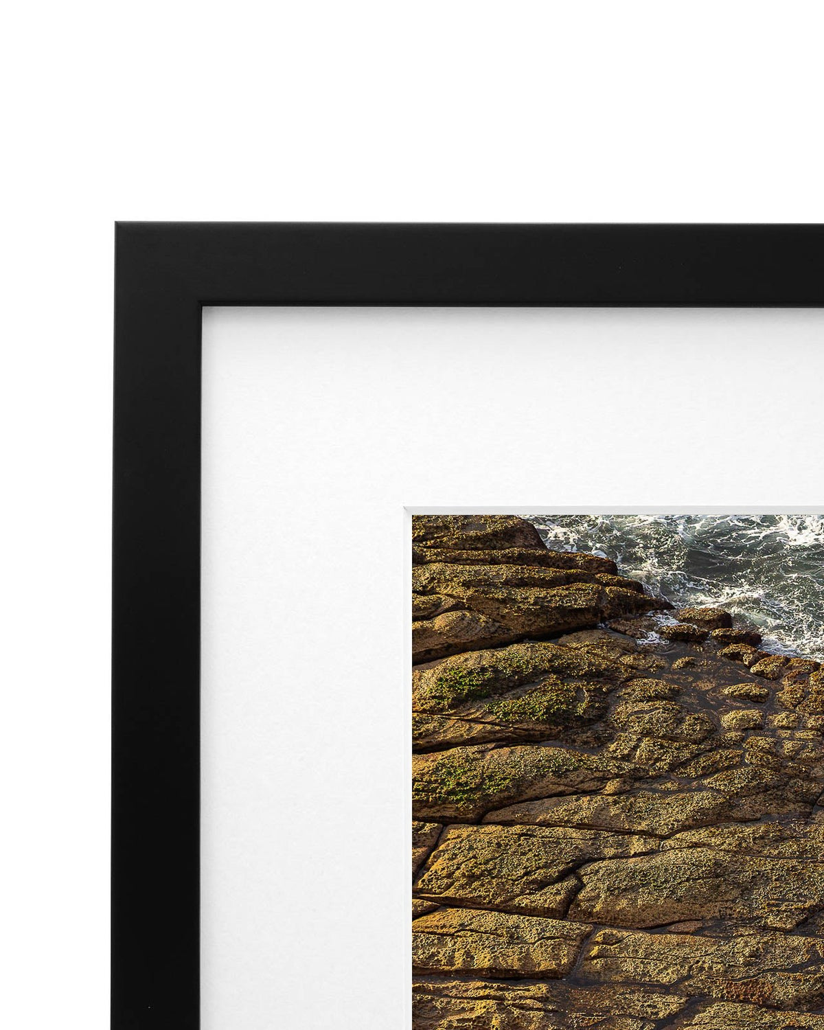 Crush - Coastal Prints twotides.collective