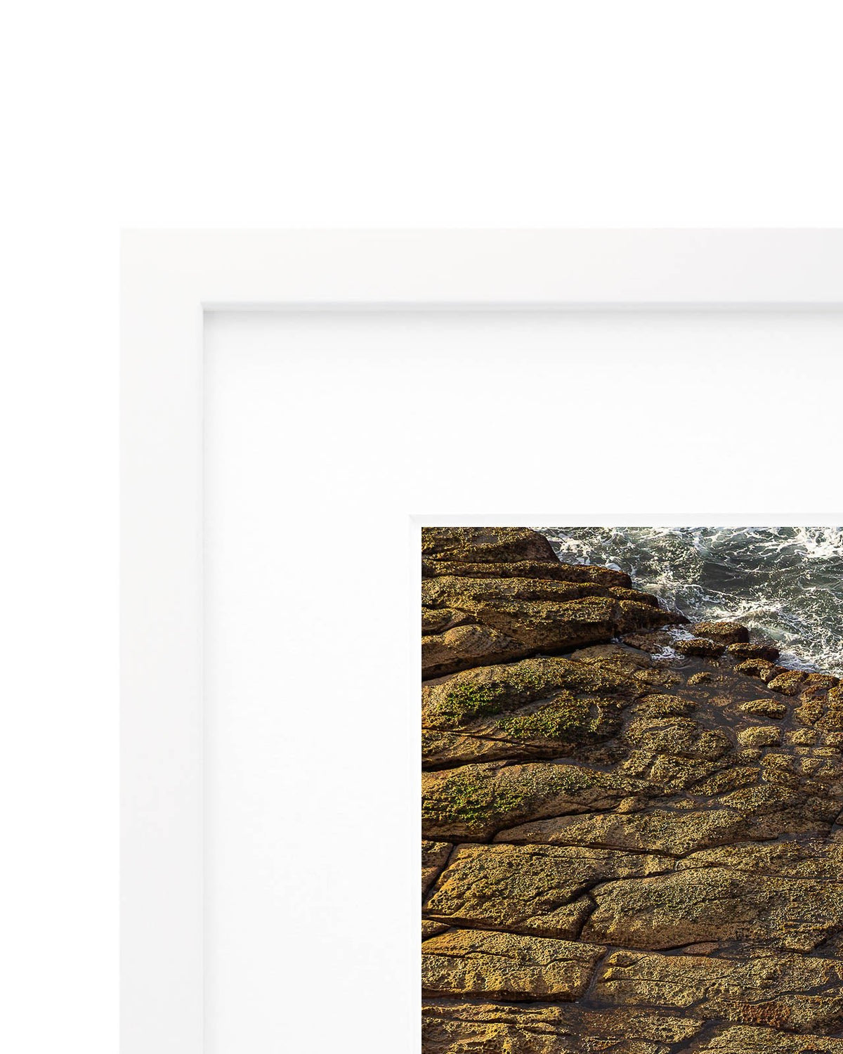 Crush - Coastal Prints twotides.collective