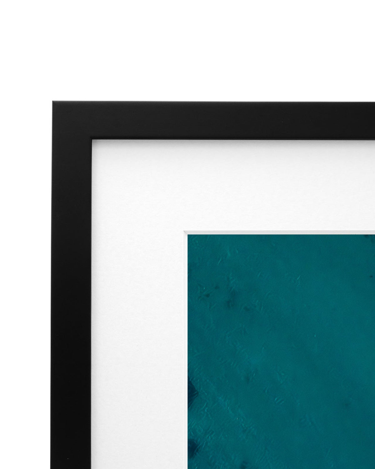 Morning Crew - Coastal Prints twotides.collective