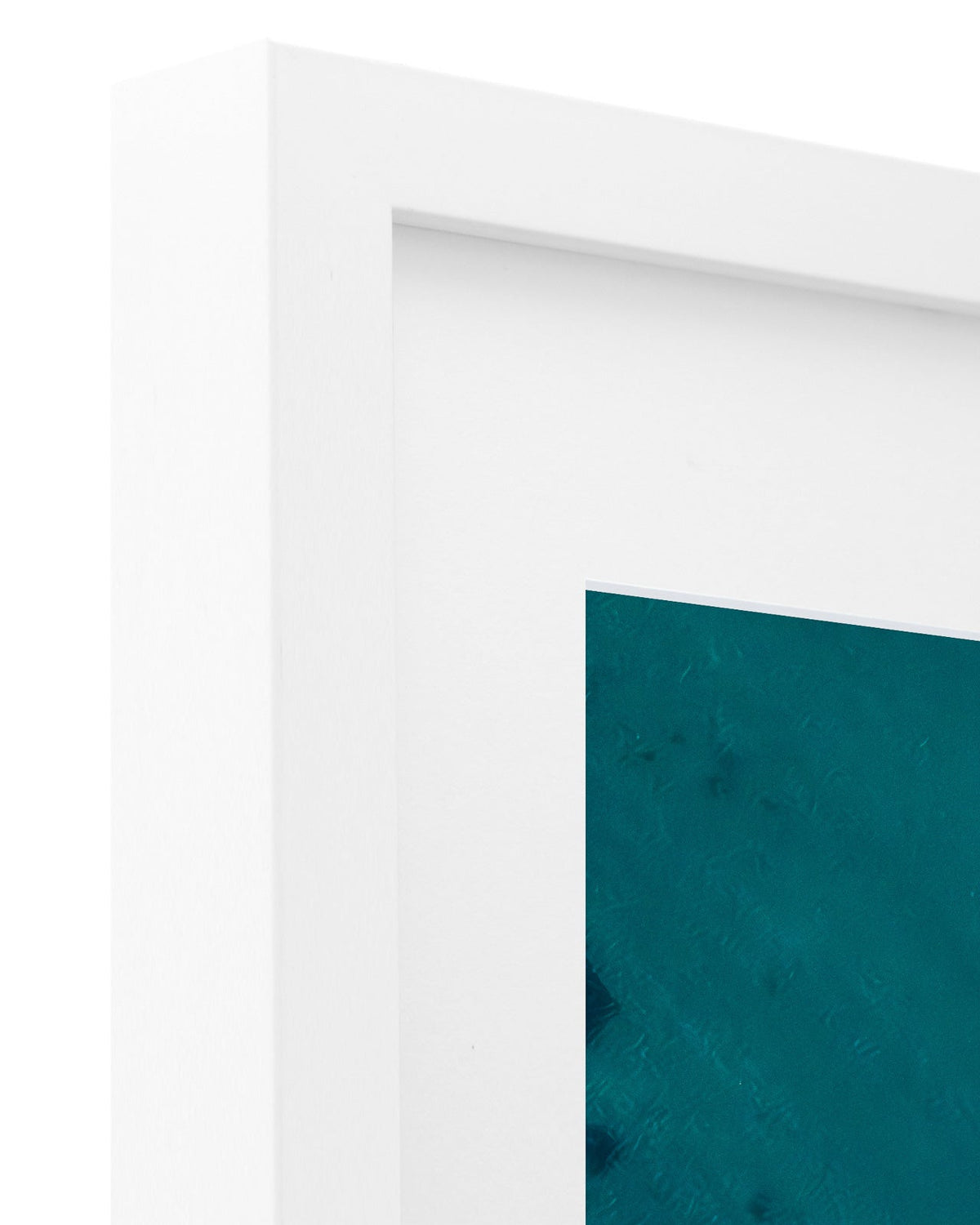 Morning Crew - Coastal Prints twotides.collective
