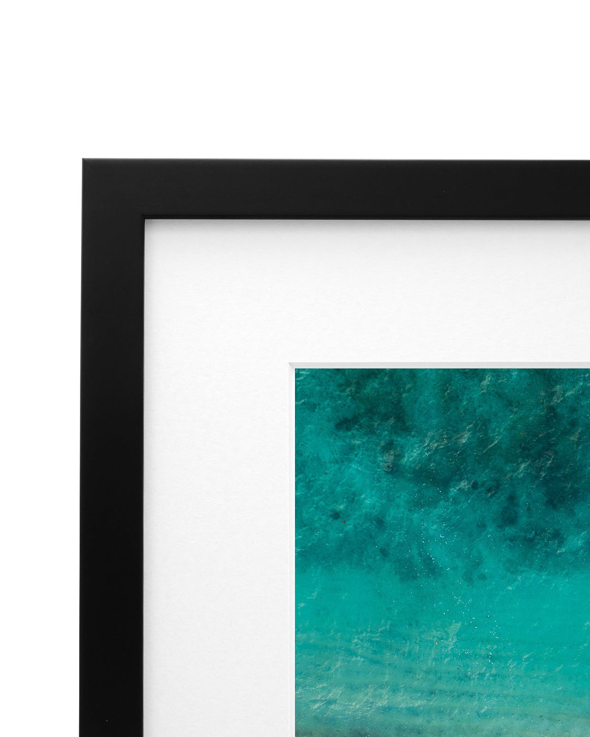 The Tropics - Coastal Prints twotides.collective