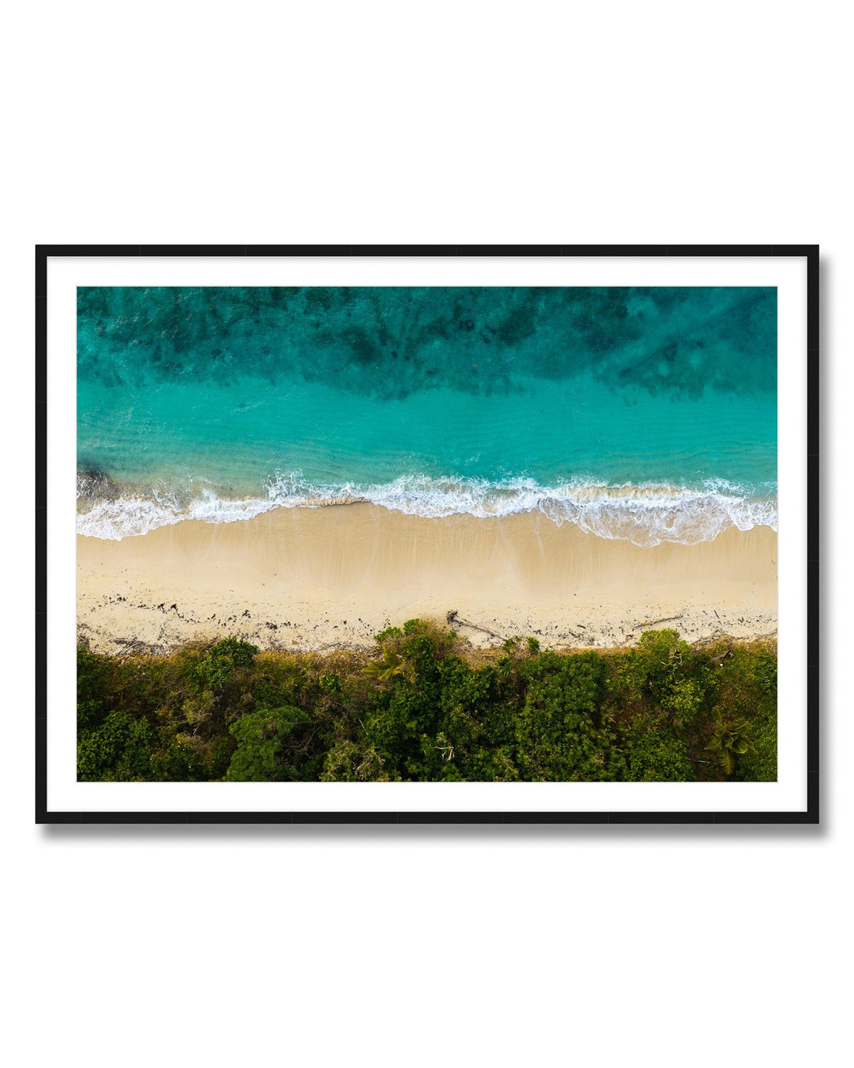 The Tropics - Coastal Prints twotides.collective
