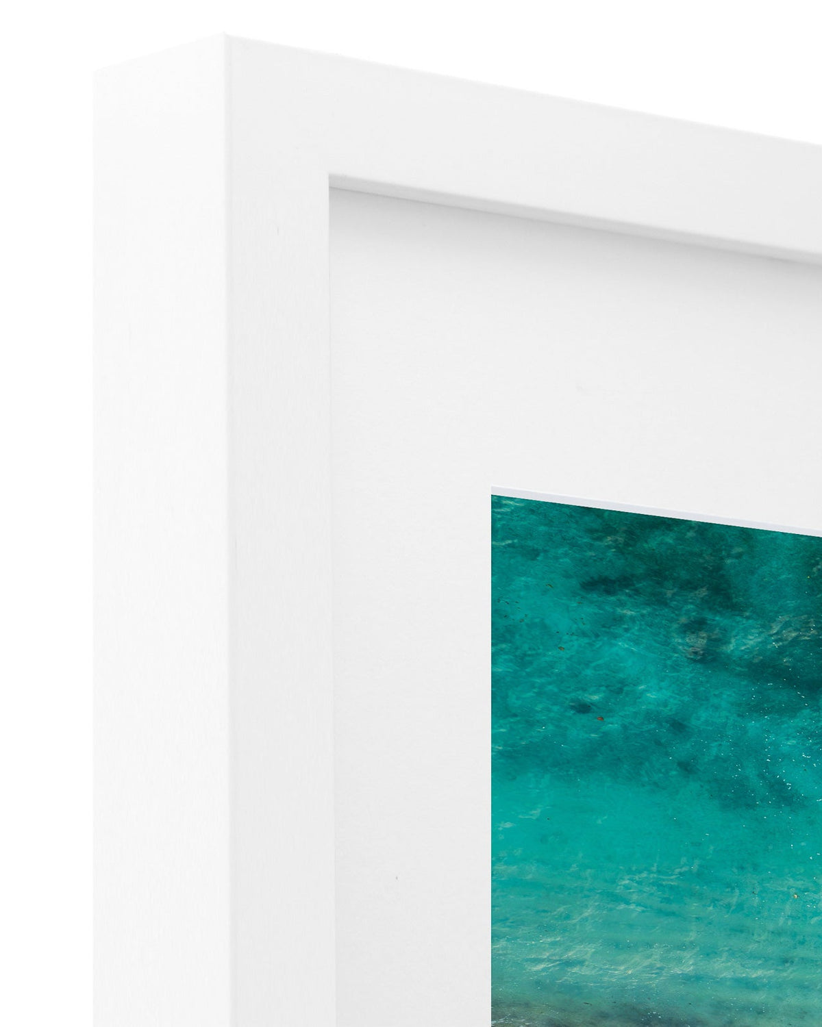 The Tropics - Coastal Prints twotides.collective