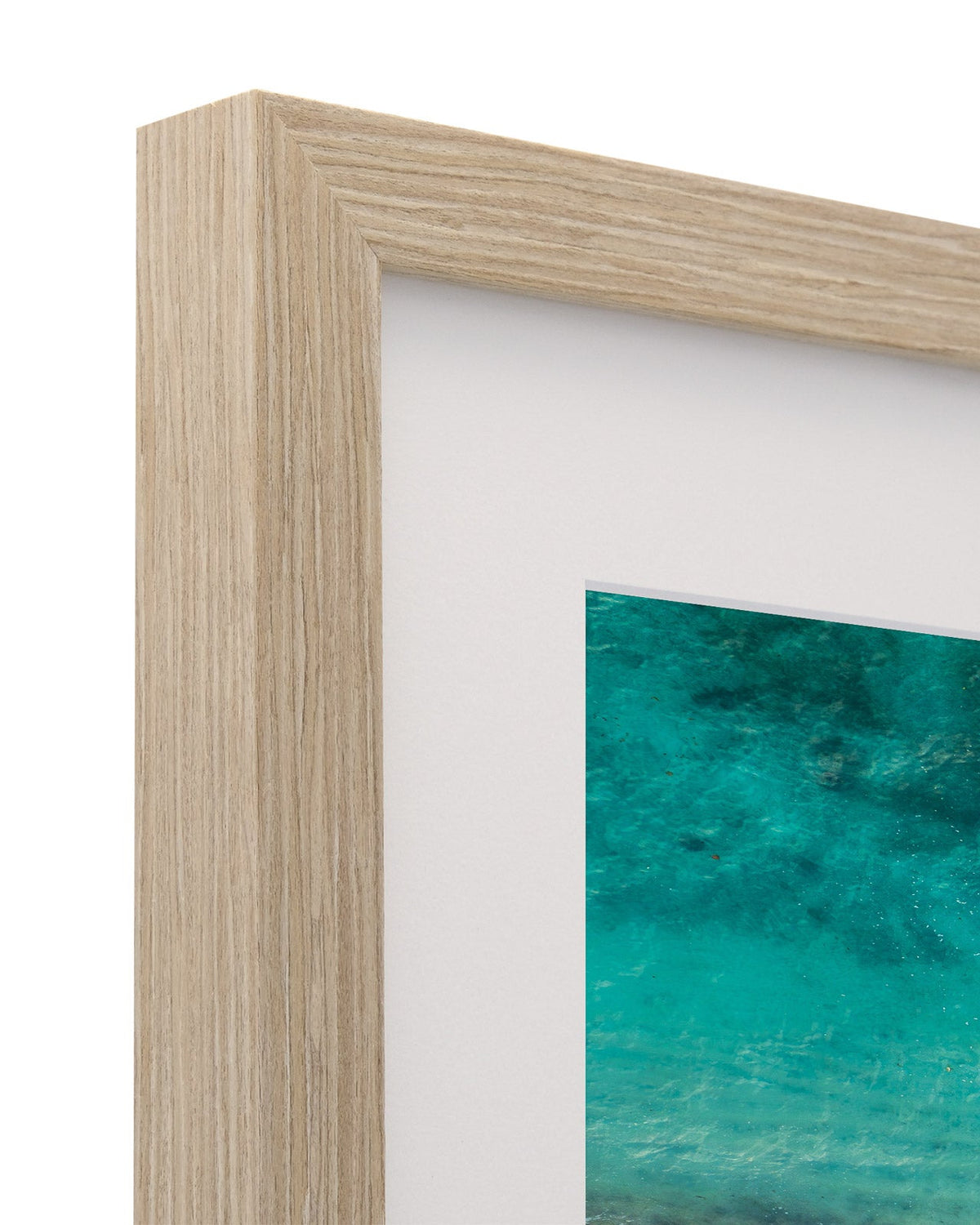 The Tropics - Coastal Prints twotides.collective