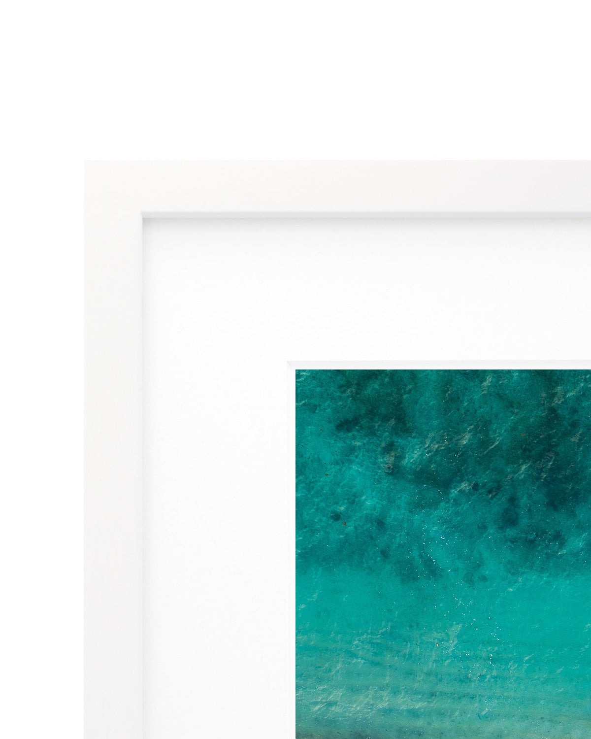 The Tropics - Coastal Prints twotides.collective