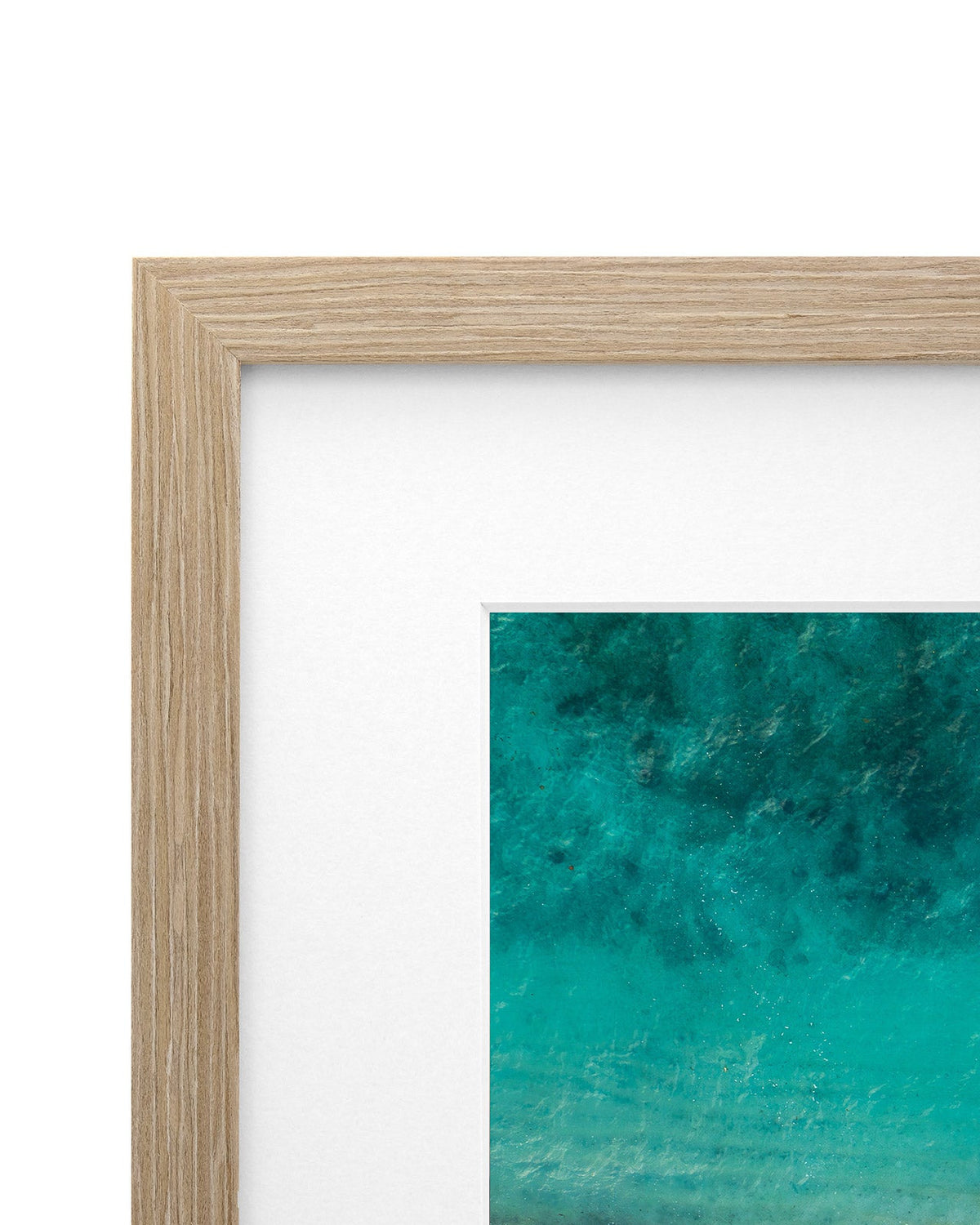 The Tropics - Coastal Prints twotides.collective