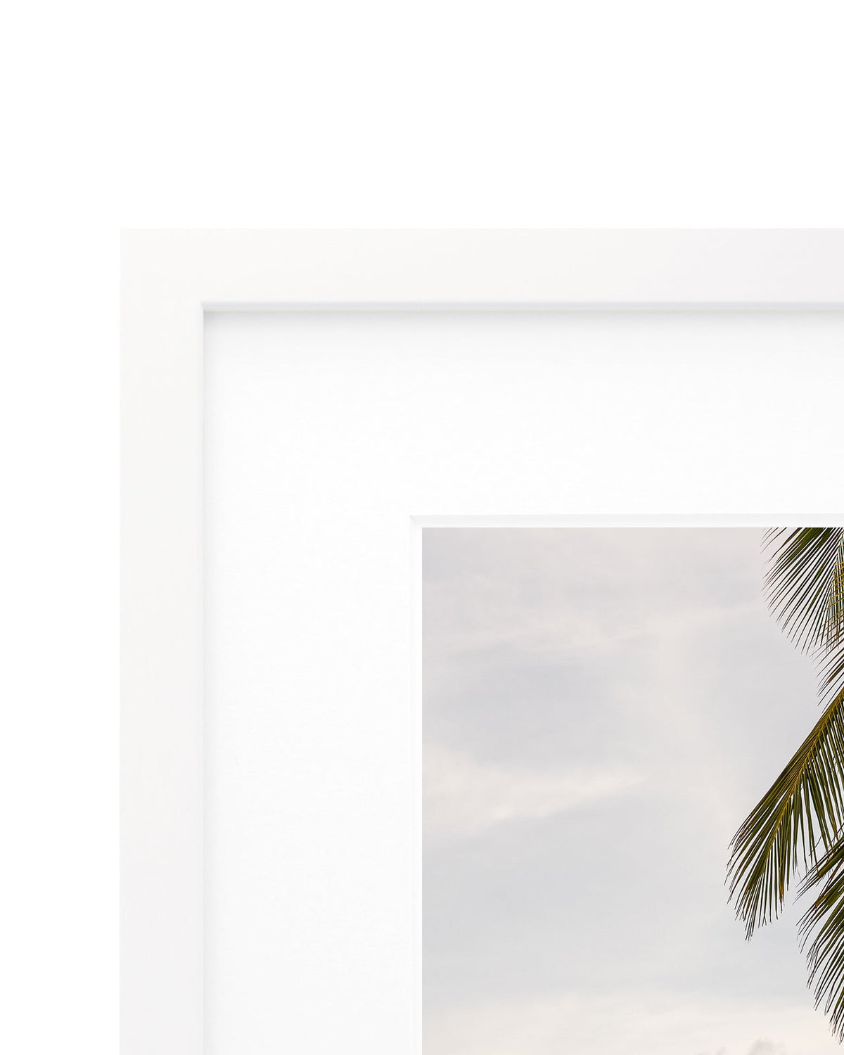 Tokoriki - Coastal Prints twotides.collective